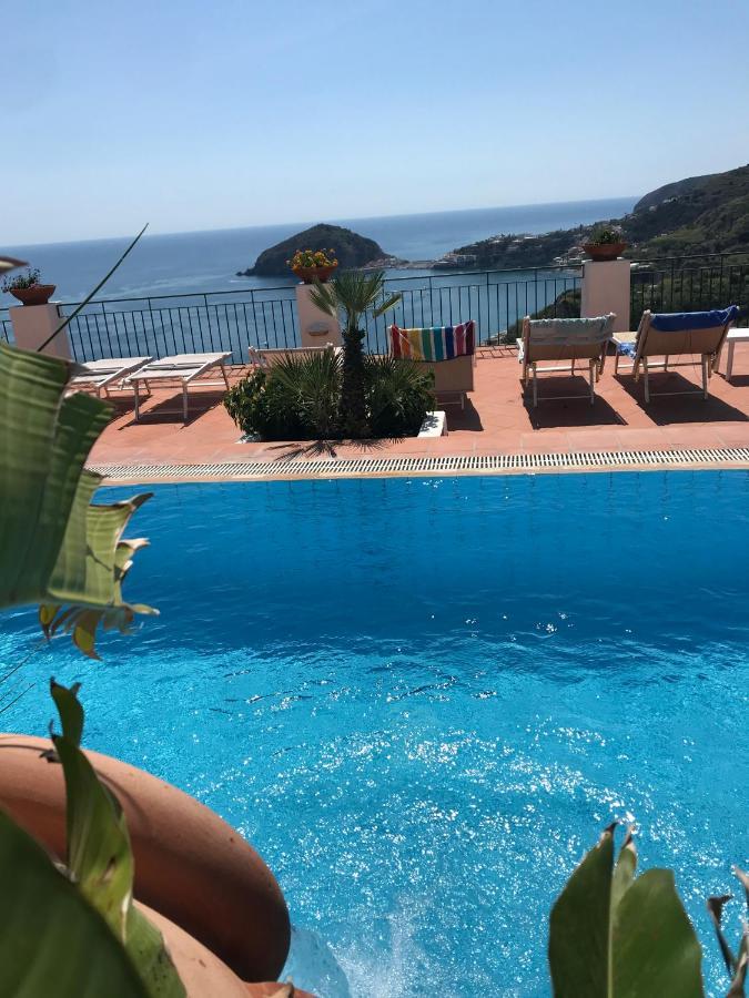 L' Ulivo Villa Nunzia Barano dʼIschia Kültér fotó
