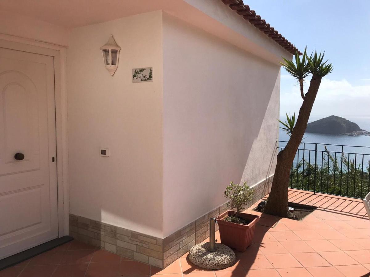 L' Ulivo Villa Nunzia Barano dʼIschia Kültér fotó